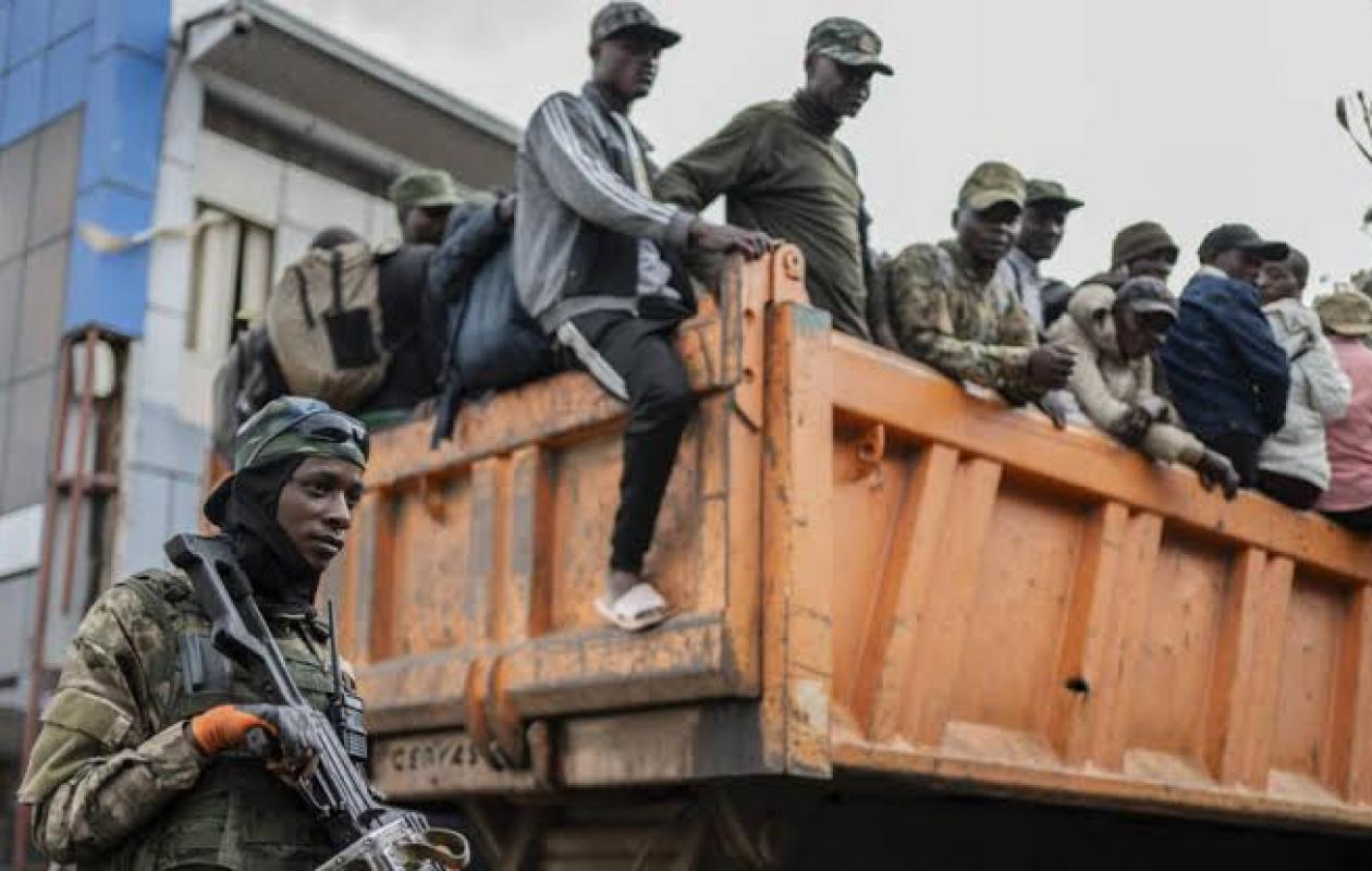 Trafic d’animaux au Nigeria : 24 grues couronnées retrouvées ligotées, les djihadistes soupçonnés