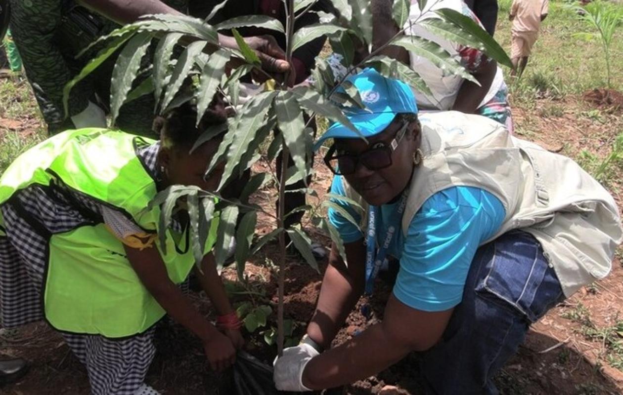 Séguéla : 20 écoles se mettent au vert avec l’UNICEF et l’ONG ASD