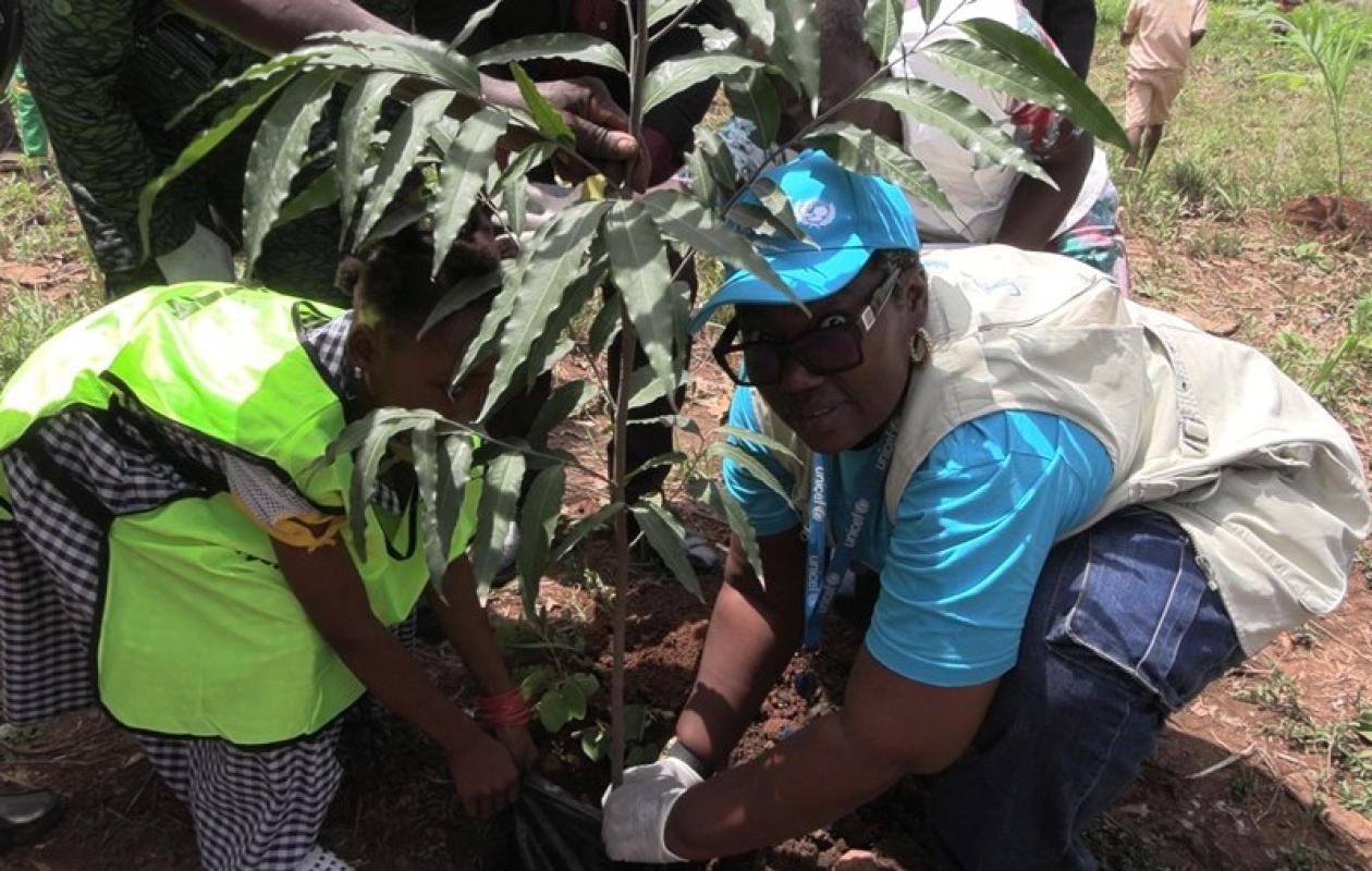 Séguéla : 20 écoles engagées dans une campagne de plantation d’arbres