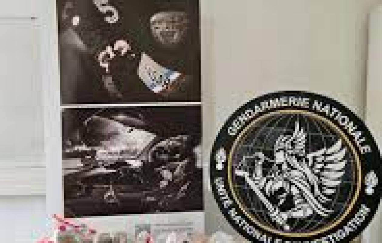 Démantèlement d'un trafic de stupéfiants piloté de Domenjod entre La Réunion et l'Hexagone : 12 personnes interpellées, 1,6 million d’euros de drogue saisie