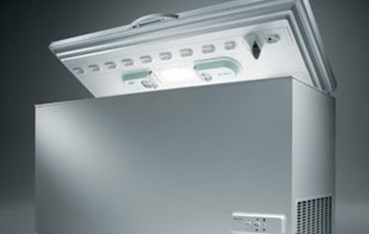 Il ouvre le congélateur... et découvre le corps de sa propre soeur