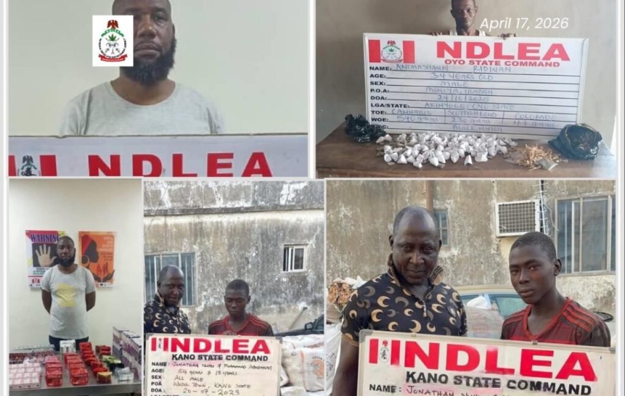 Nigeria : près de 1 000 narcotrafiquants condamnés en seulement trois mois