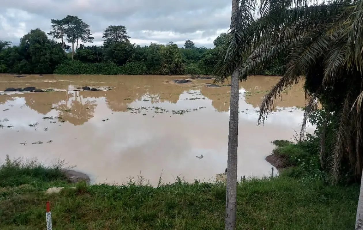 Yamoussoukro : L’orpaillage clandestin menace l’accès à l’eau potable