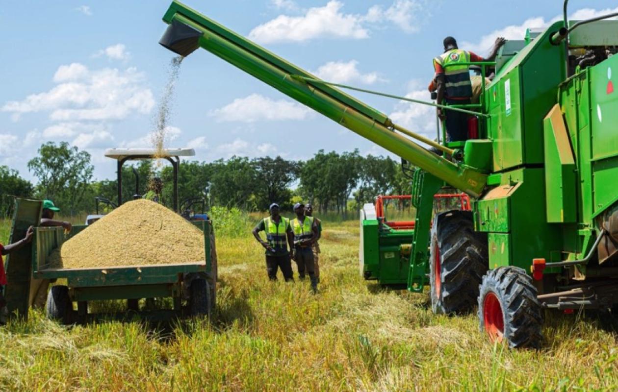 Le nouveau plan stratégique pour révolutionner l’agriculture