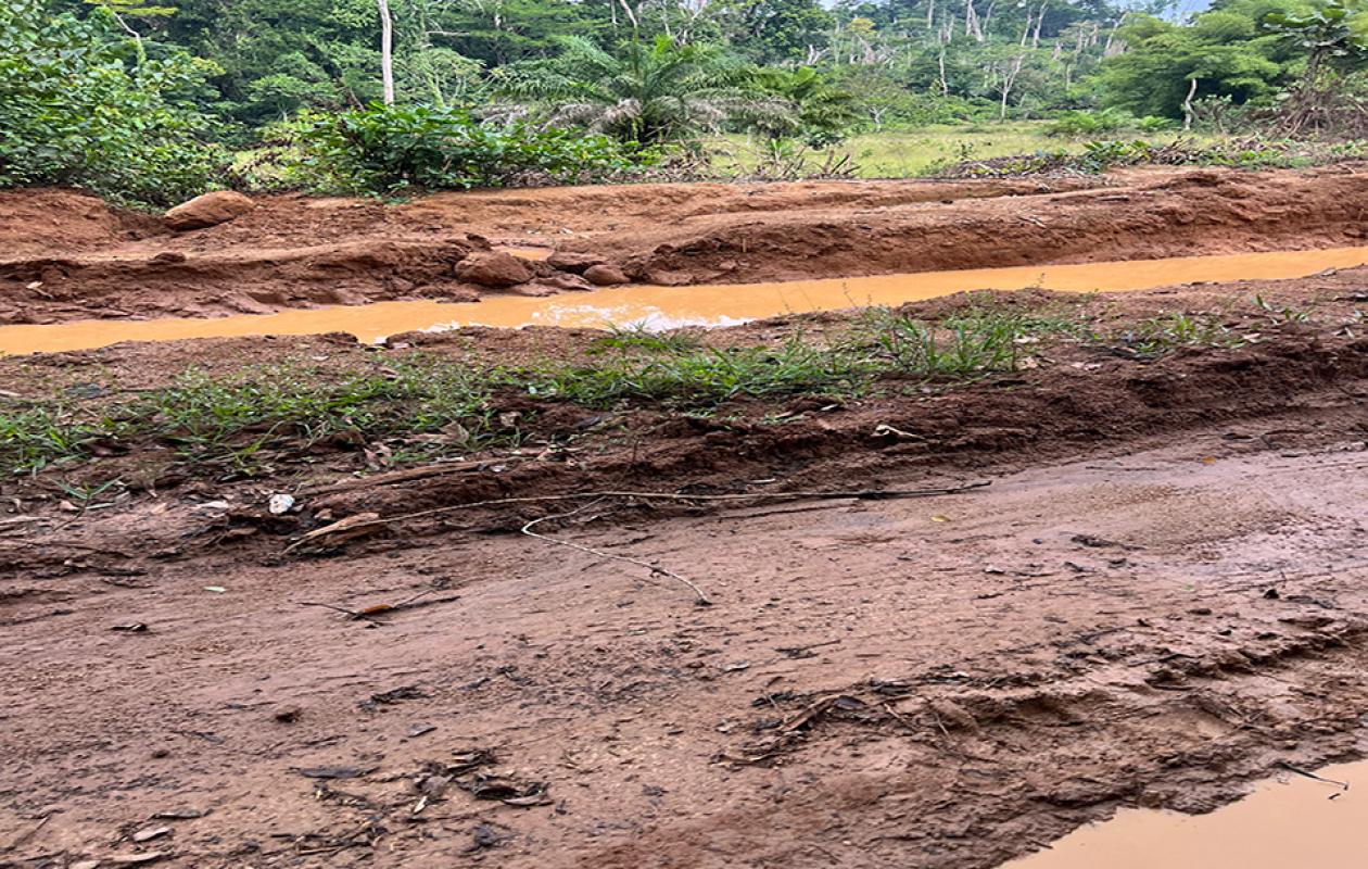Daleu : Le calvaire des agriculteurs face à l'enclavement