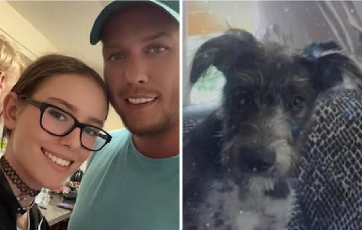 Elle s'endort avec son chien dans son lit... Elle ne réveillera jamais