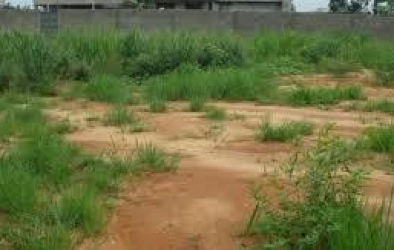 Litige foncier à Abidjan : Un opérateur devant la justice pour 165 millions FCFA