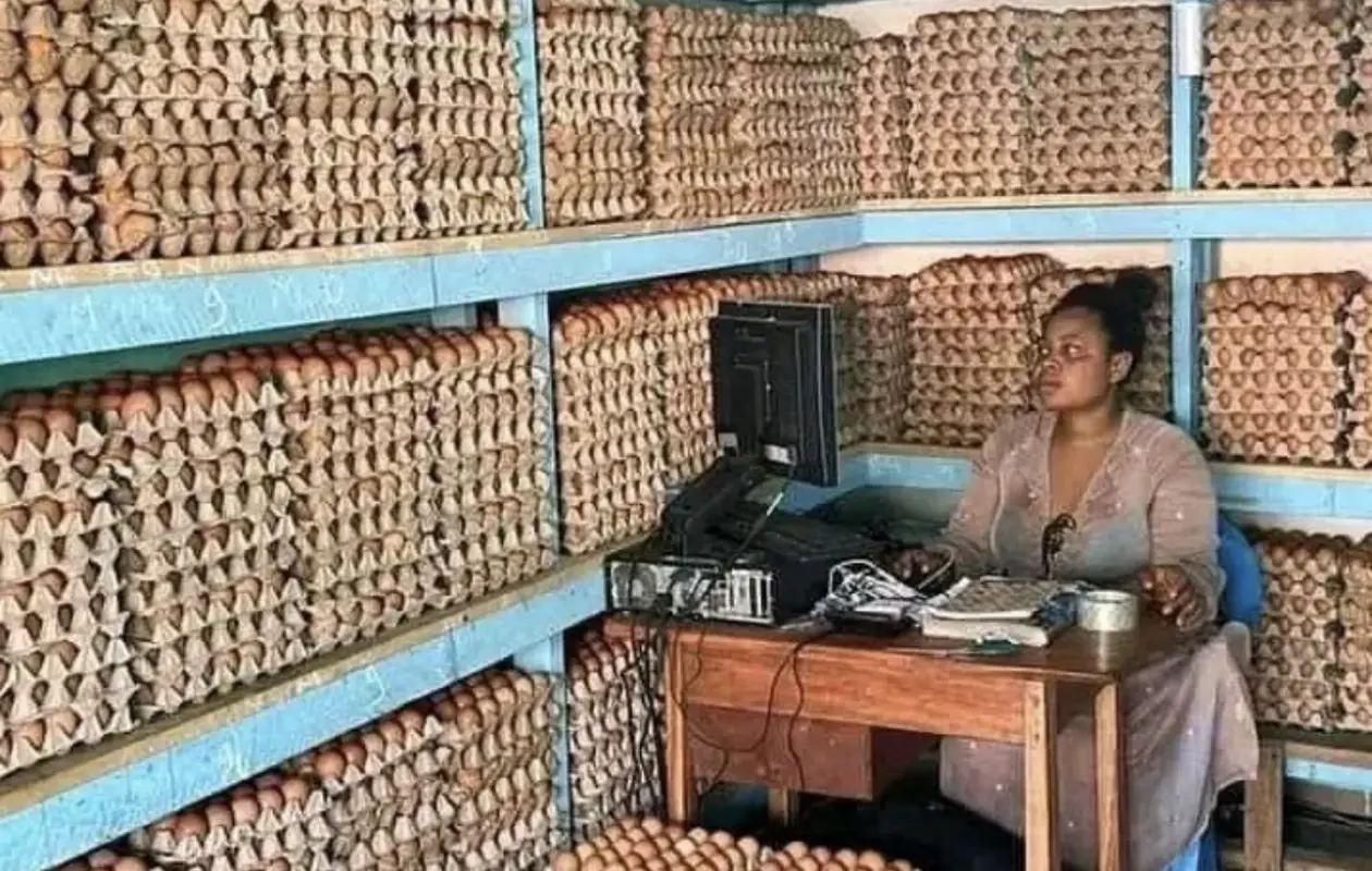 JNA 2026 : La Côte d’Ivoire célèbre son autosuffisance en œufs et appelle à un choc de compétitivité