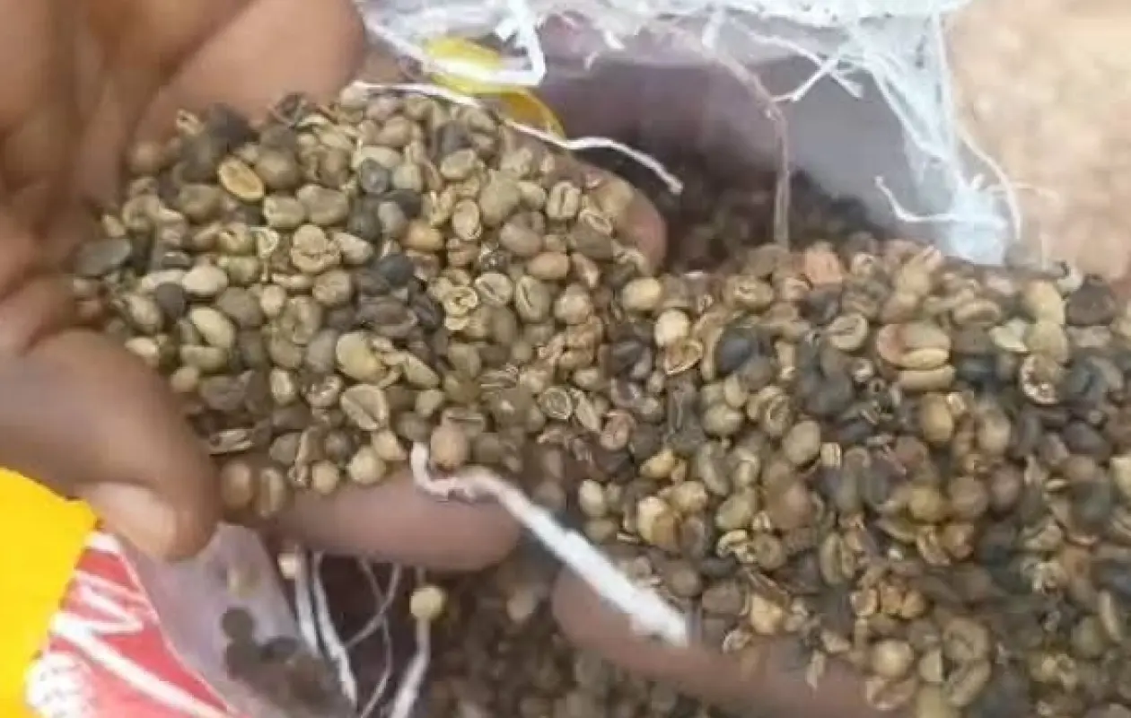 Fraude frontalière : 21 tonnes de café interceptées à Doropo