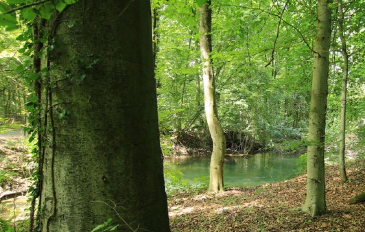 Une jeune femme de 25 ans enlevée chez elle par des faux livreurs : elle est retrouvée ligotée dans une forêt
