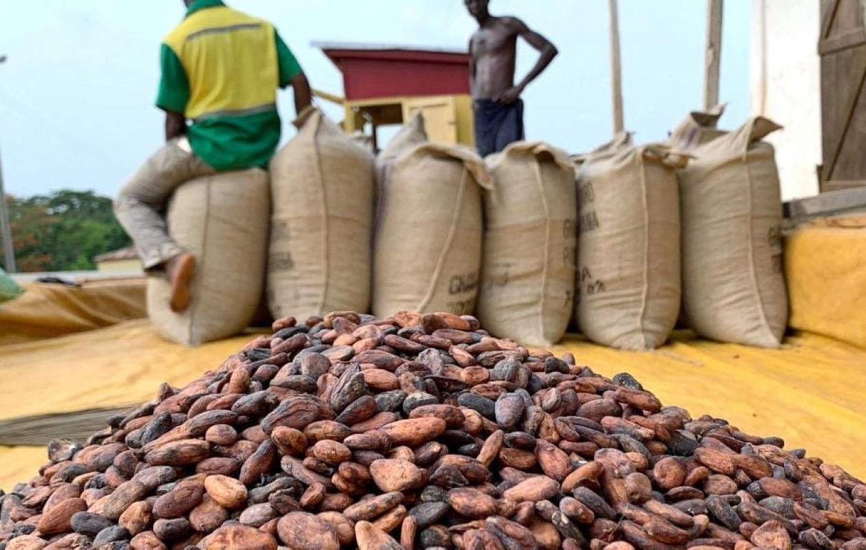 M’Batto : le DG du Conseil Café-Cacao appelle au calme après les tensions sur les impayés