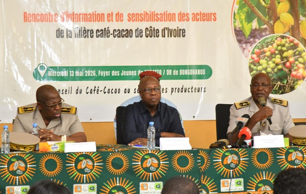 Cacao à M’Batto : Le Conseil du Café-Cacao désamorce la crise des impayés et appelle au calme
