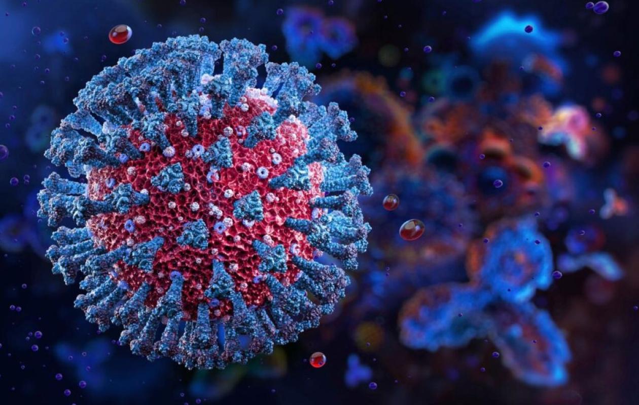 Vigilance face à l'alerte internationale à l'Hantavirus