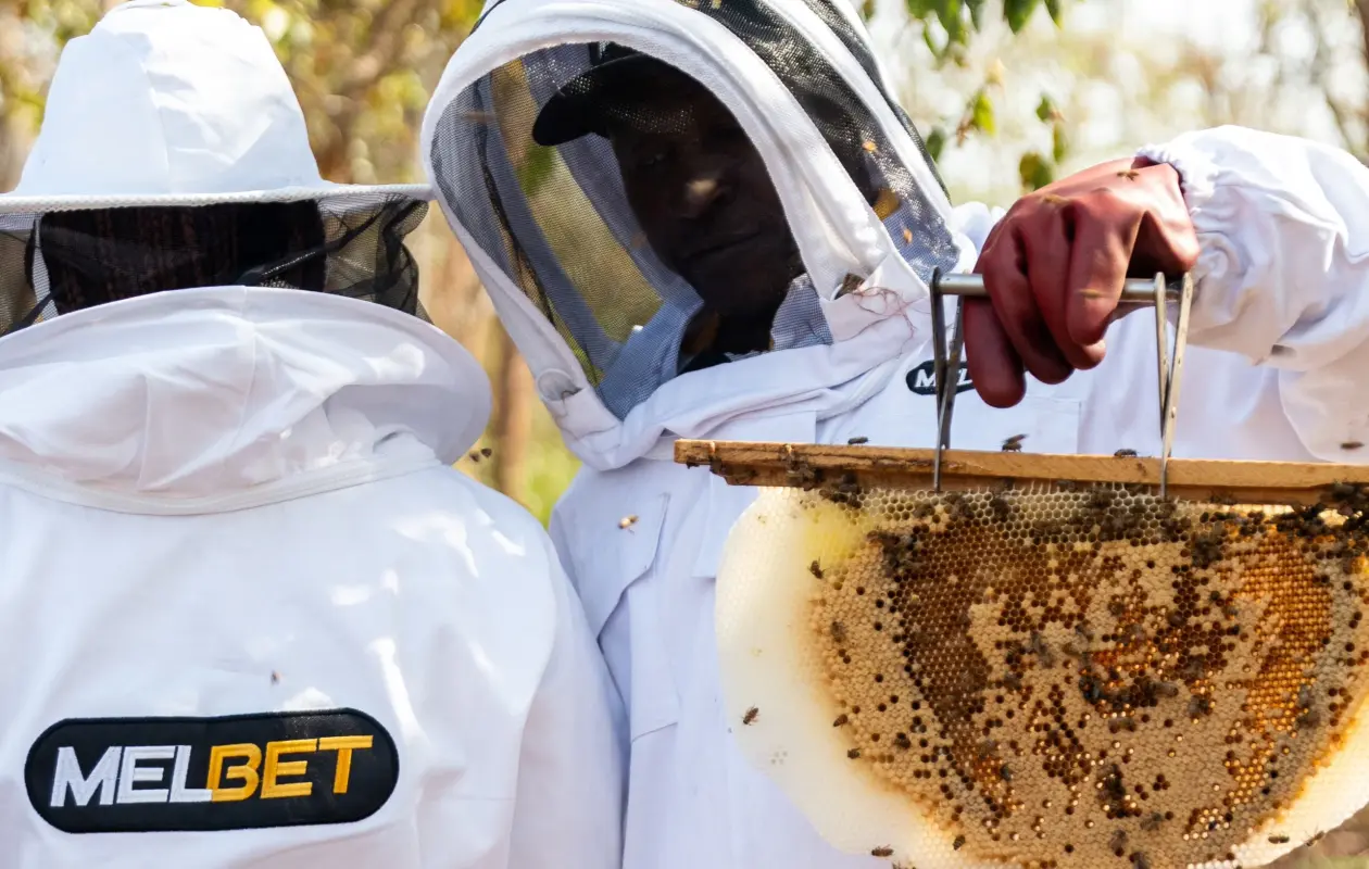 Quand l'apiculture booste l'économie : MELBET s'engage pour la Journée mondiale des abeilles
