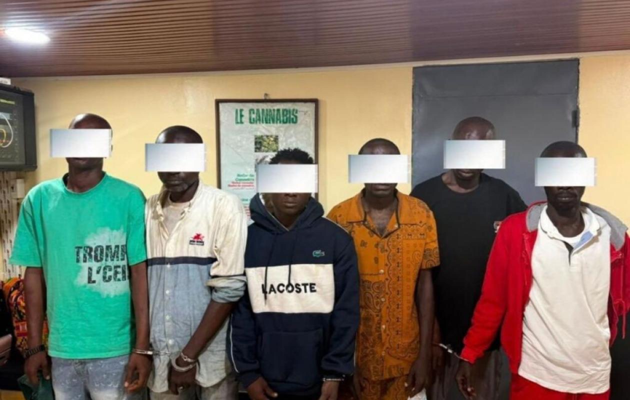 Bouaké : Coup de filet majeur de la DPSD, 6 trafiquants interpellés et d'importantes quantités de drogue saisies