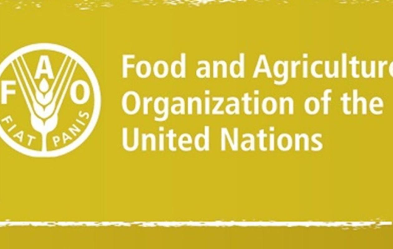 Opportunité : Formez-vous gratuitement à la science et l'innovation avec la FAO
