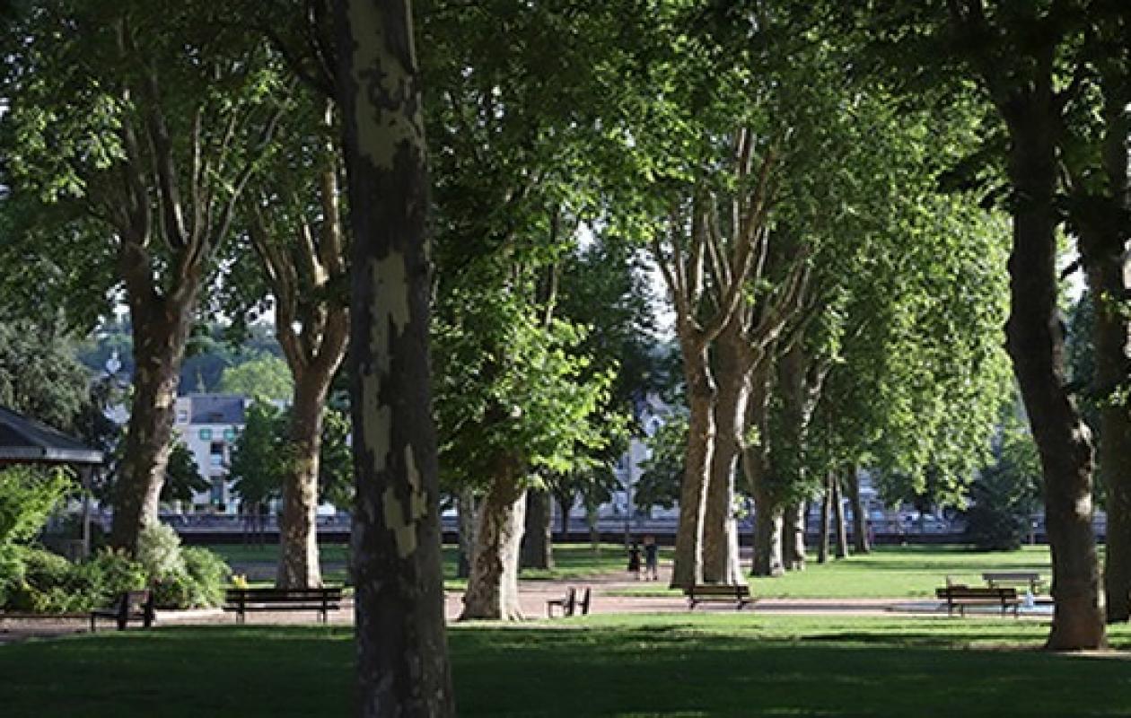 Brive : un couple fait l'amour au milieu du parc de la Guierle devant des témoins