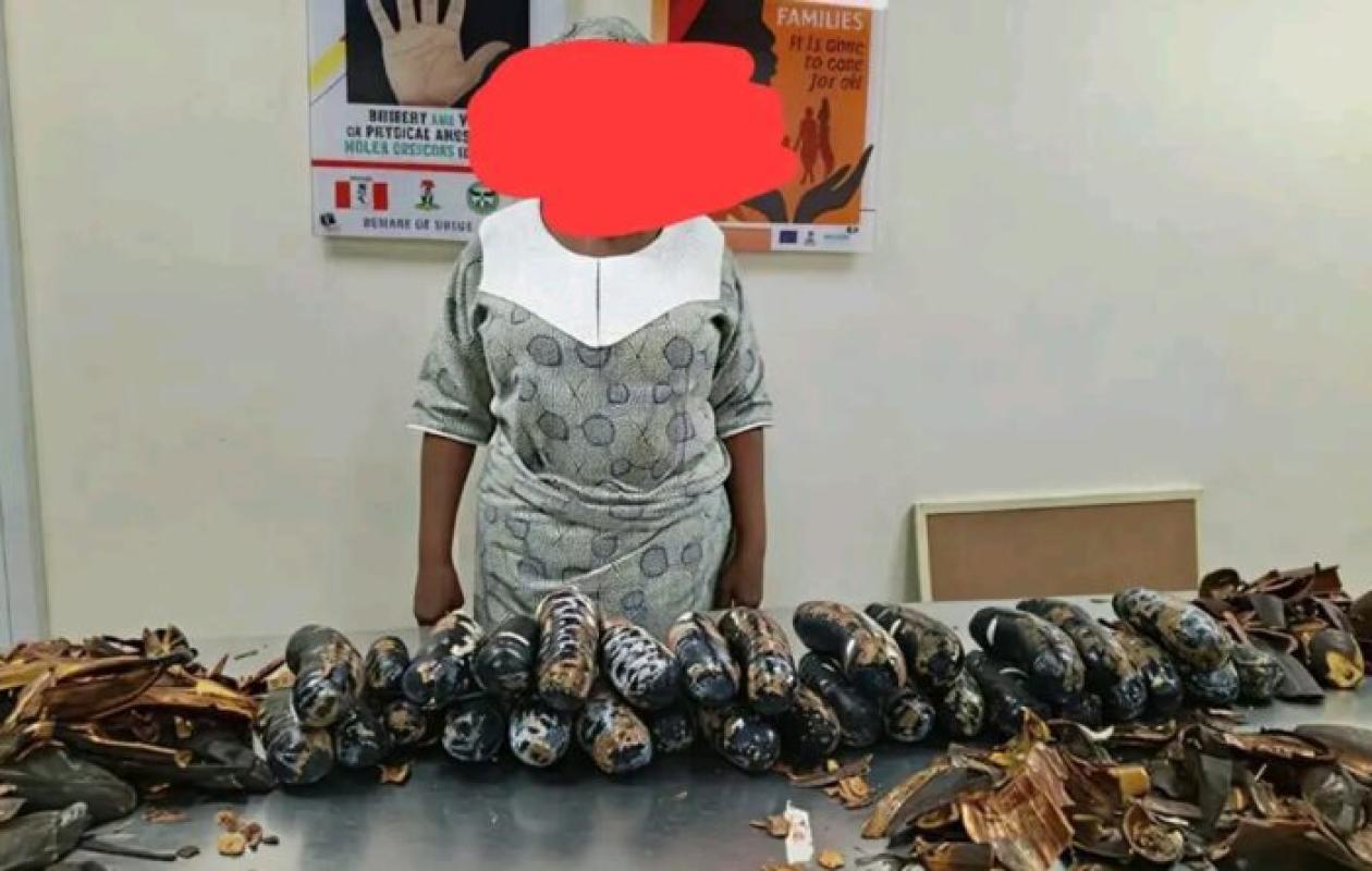 Nigeria : Une sexagénaire interceptée avec 13 kg de cocaïne dissimulés dans des bananes plantain à l’aéroport