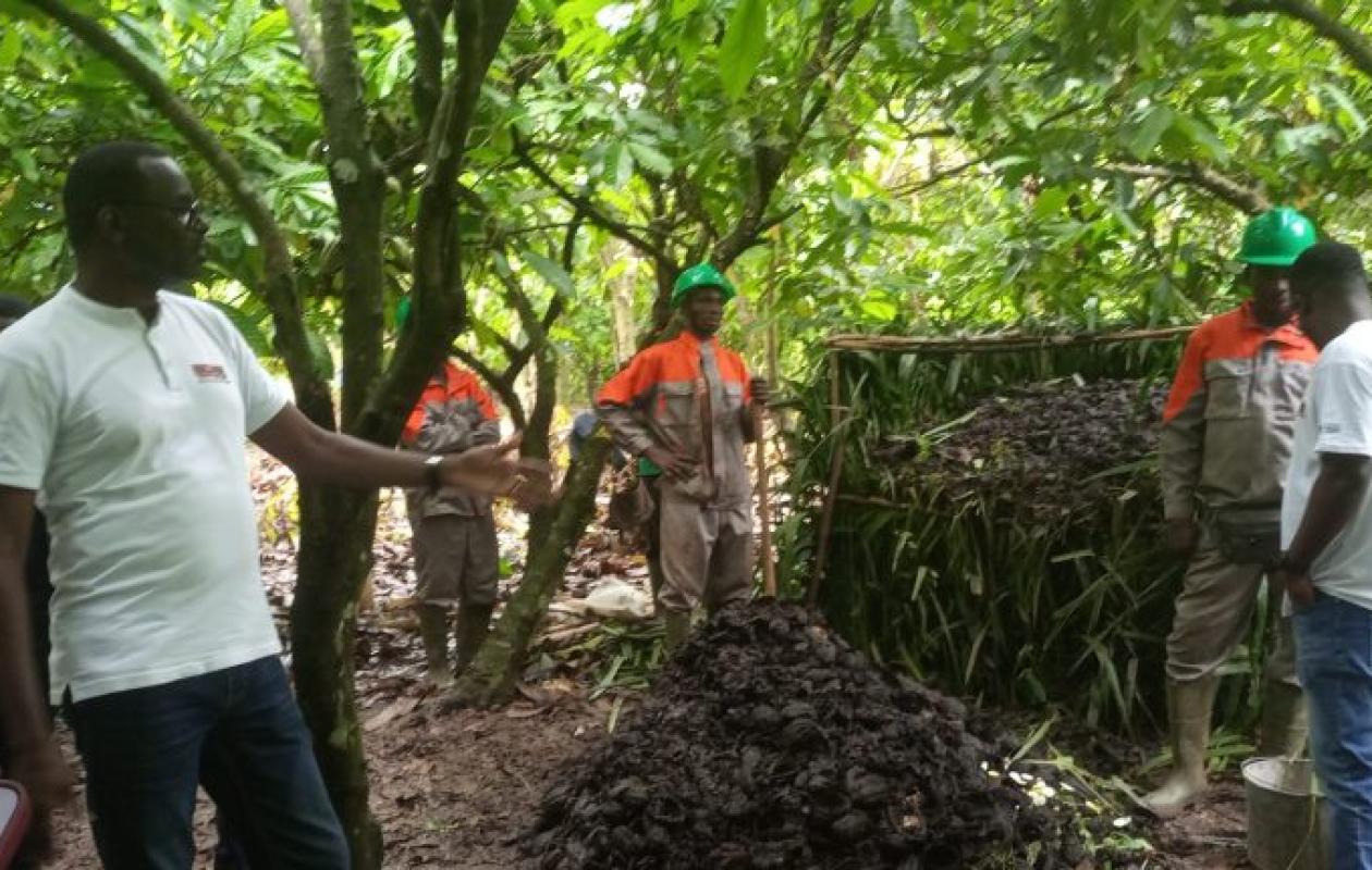 À Bringakro, le Nestlé Cocoa Plan place la famille au cœur d'un cacao durable