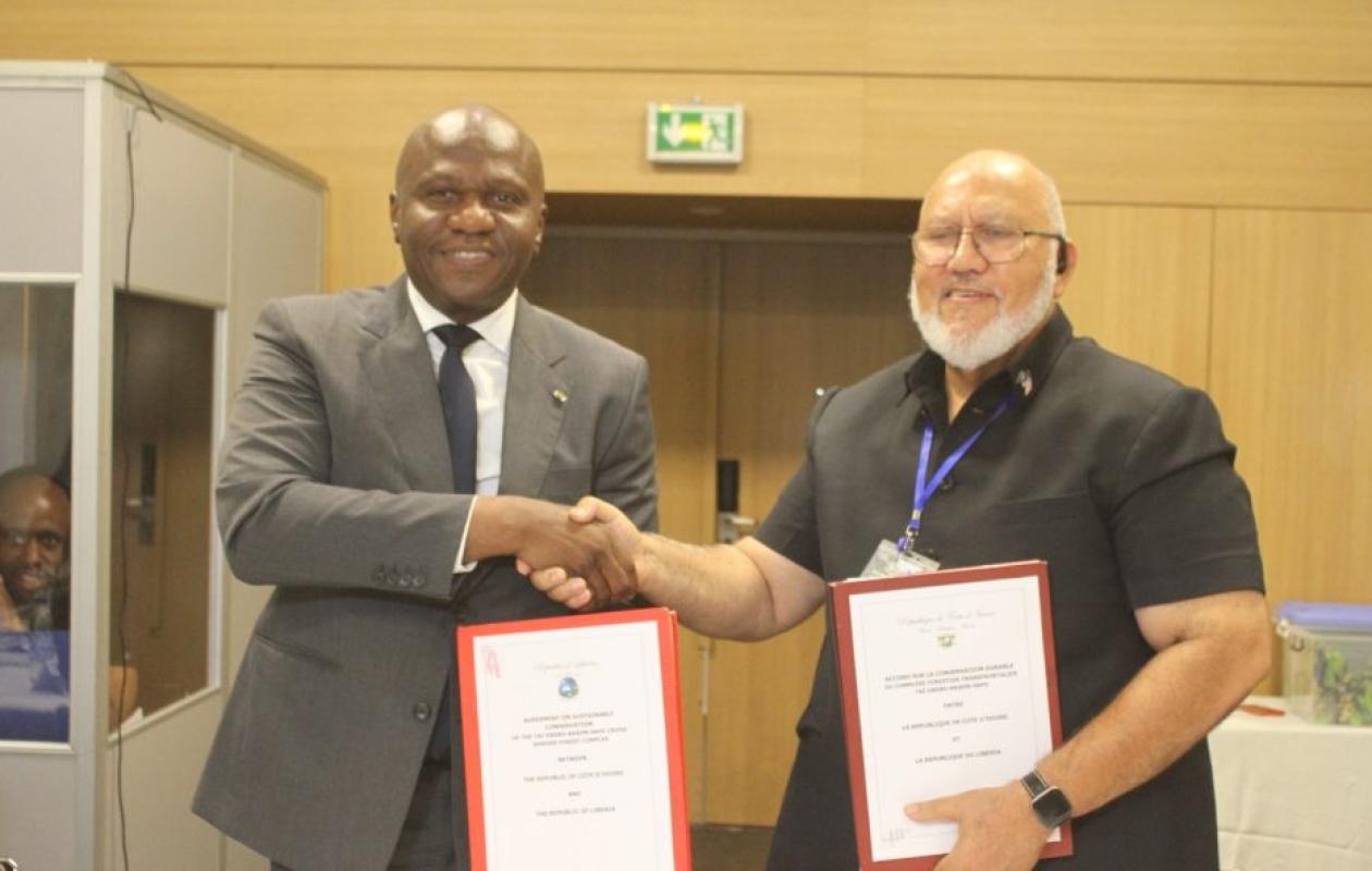 Côte d’Ivoire-Liberia : Un accord historique pour la sauvegarde du complexe forestier Taï-Grebo-Krahn-Sapo