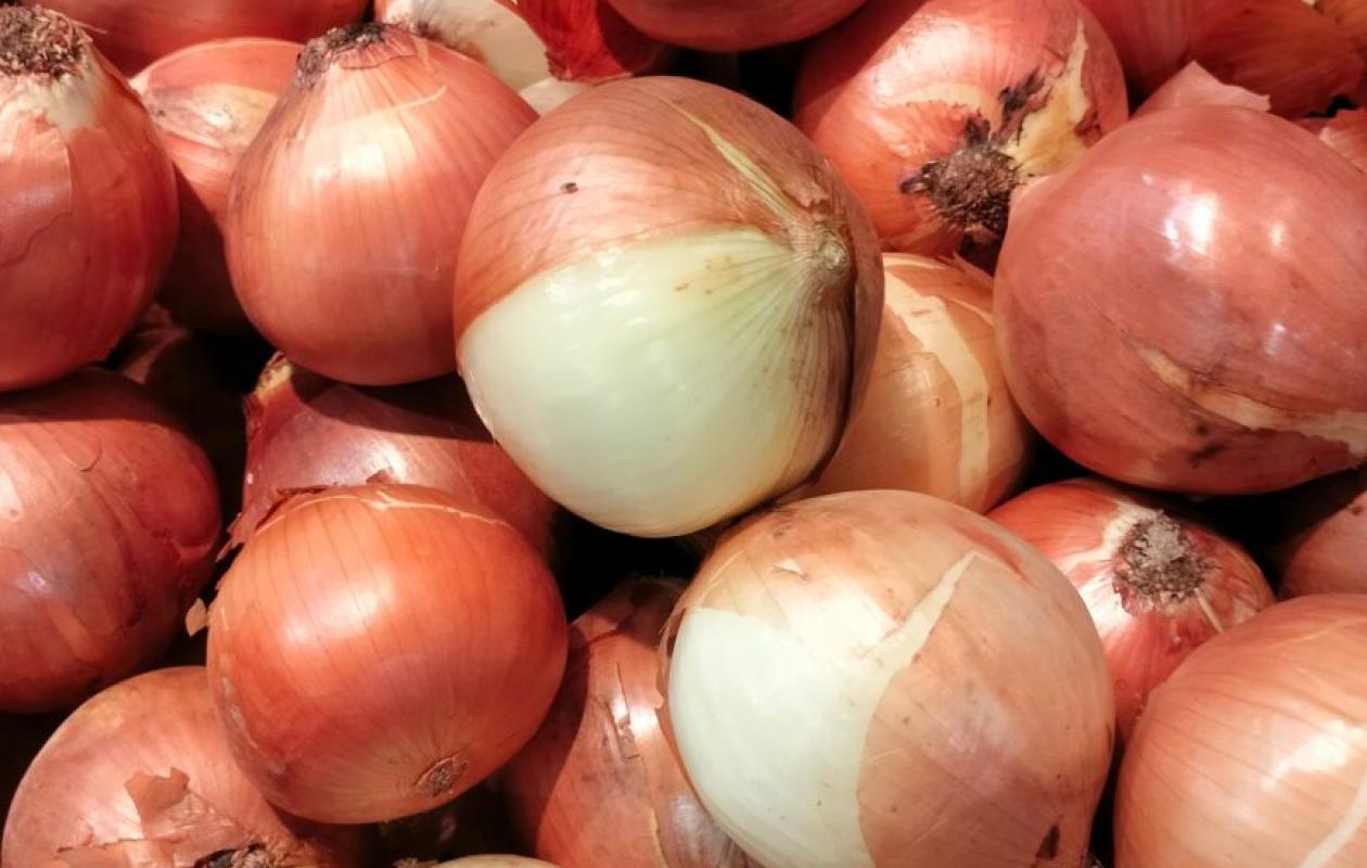 Senegal lifts seven-month onion import ban as local supply improves